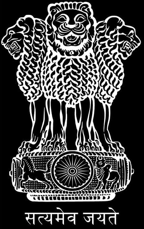 India National Emblem Lion Capital of Ashoka